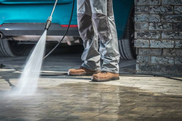 Best Building Exterior Washing  in Pascagoula, MS