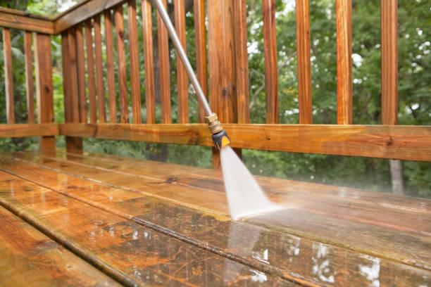 Animal Enclosure Cleaning in Pascagoula, MS